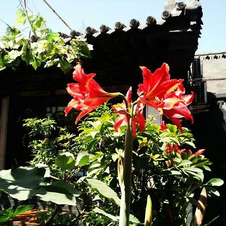 Pingyao Tian Yi Hostel Dış mekan fotoğraf